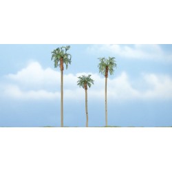 3 Palmiers royaux / Royal palms