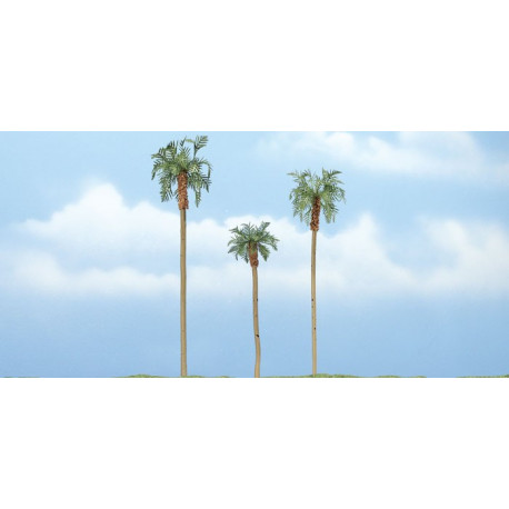 3 Palmiers royaux / Royal palms