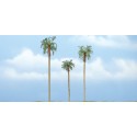 3 Palmiers royaux / Royal palms