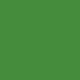 Model Color Vert Intermédiaire / Intermediate Green Mat, RAL6011, FS34227, 17 ml