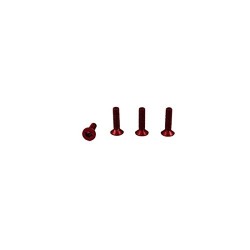 Paquet de 4 vis à six pans Alu M3x12mm / 4 screws Alu M3x12mm