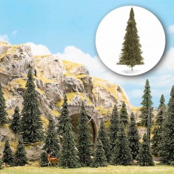 15 Sapins / Pine Trees, 5-13,5 cm