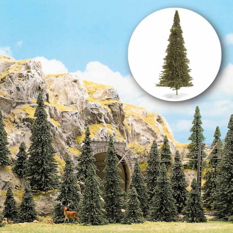 15 Sapins / Pine Trees, 5-13,5 cm