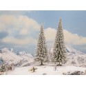 2 Sapins enneigés / 2 Snow Fir Trees