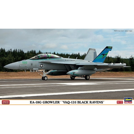 EA-18G Growler VAQ-135 Black Ravens 1/72