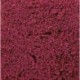 Tapis de fleurs lillas / Ground Cover Erika,14 x 28 cm