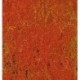 Tapis de fleurs rouges / Ground Cover red,14 x 28 cm