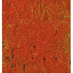 Tapis de fleurs rouges / Ground Cover red,14 x 28 cm