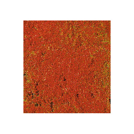 Tapis de fleurs rouges / Ground Cover red,14 x 28 cm