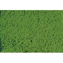 Microflor, Vert clair / Mikroflor Light green, 28x14cm