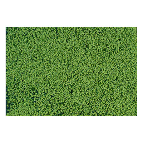 Microflor, Vert clair / Mikroflor Light green, 28x14cm