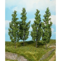 4 Peupliers / Poplar trees, 14cm