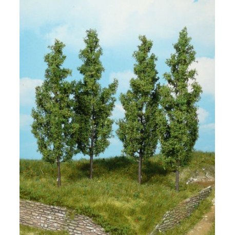 4 Peupliers / Poplar trees, 14cm