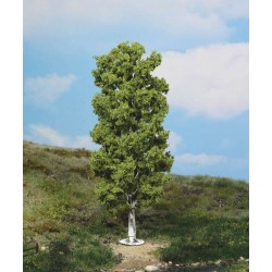 1 Bouleau / Birch tree, 20cm