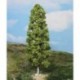 1 Bouleau / Birch tree, 27cm
