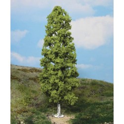 1 Bouleau / Birch tree, 27cm