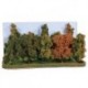 10 Arbres Automnal / Autumn trees, 10-14cm