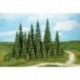 10 Sapins / Firs, 3-5cm