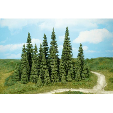 10 Sapins / Firs, 3-5cm