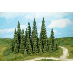 30 Sapins / Firs, 3-7cm