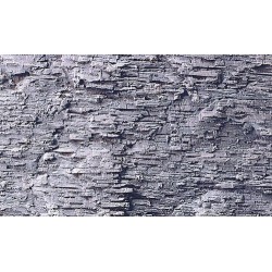 Feuille de Roche Ardoise de Montagne / Rock Foil Slate, 80x35cm