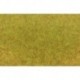 Fibres d'herbes Automne / Wild Grass Fiber Autumn, 5-6mm, 75gr