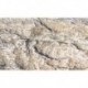 1 Feuille de Roche de montagne Granit / Rock foil granite, 70x24cm