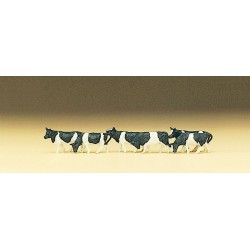 Vaches blanches et noires / White & black cows Z