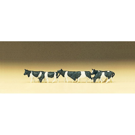 Vaches blanches et noires / White & black cows Z