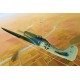 Focke Wulf Fw190D-11 1/48