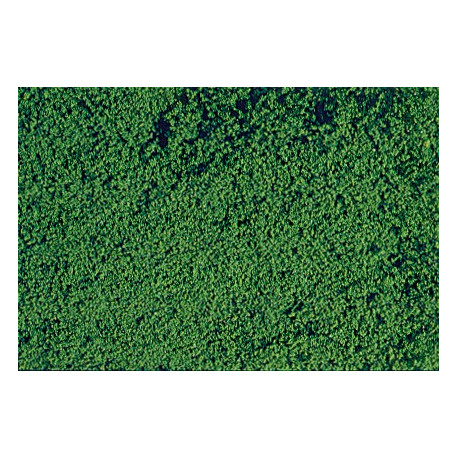 Microflor, Vert foncé / Mikroflor dark green, 28x14cm