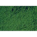 Microflor, Vert foncé / Mikroflor dark green, 28x14cm