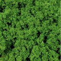 Super Artline, Flocage vert foncé / Flocking dark green, 500ml