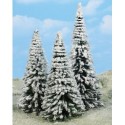 3 Sapins enneigés / Firs with snow, 16-21cm