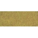 Fibres d'herbes Automne XL Static grass Autumn, 10mm, 50gr