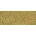 Fibres d'herbes XL Automne / Statig grass XL Autumn, 10mm, 50gr