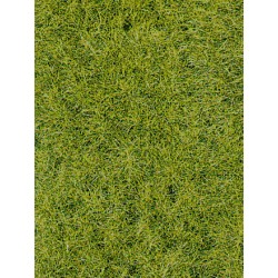 Flocage Herbes Sauvages Vert Foncé / Static Wild Grass Dark Green, 6mm, 75gr