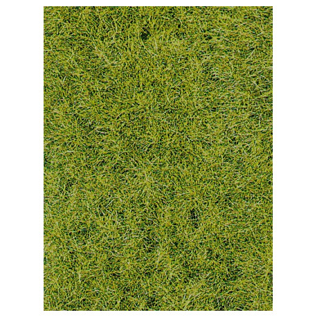 Flocage Herbes Sauvages Vert Foncé / Static Wild Grass Dark Green, 6mm, 75gr