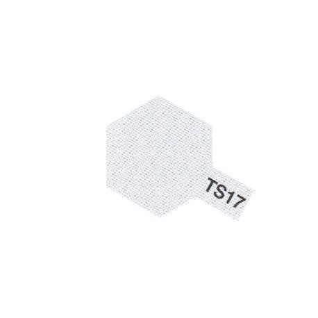 TS17 Aluminium Brillant / Aluminimum Gloss