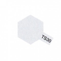 TS30 Aluminium Brillant / Aluminium Gloss