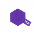 TS37 Lavande Brillant / Lavender Gloss