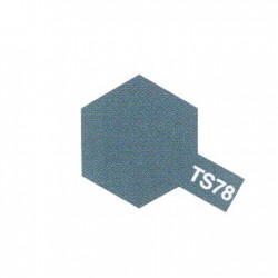 TS78 Gris Campagne / Field Grey Mat