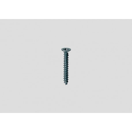 200 Vis de rail / Track Screws, H0