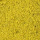 Tapis de fleurs jaunes / Ground Cover yellow,14 x 28 cm