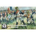 French Line Voltigeurs at Waterloo, Napoleonic War 1/72