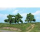 3 Arbres Fruitiers / 3 Fruit Trees, 13cm