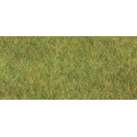 Fibres d'herbes XL Eté / Statig grass XL Summer, 10mm, 50gr