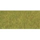 Fibres d'herbes XL Printemps / Statig grass XL Spring, 10mm, 50gr