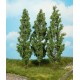 3 peupliers / 3 Poplar trees, 18cm
