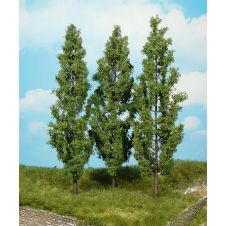 3 peupliers / 3 Poplar trees, 18cm